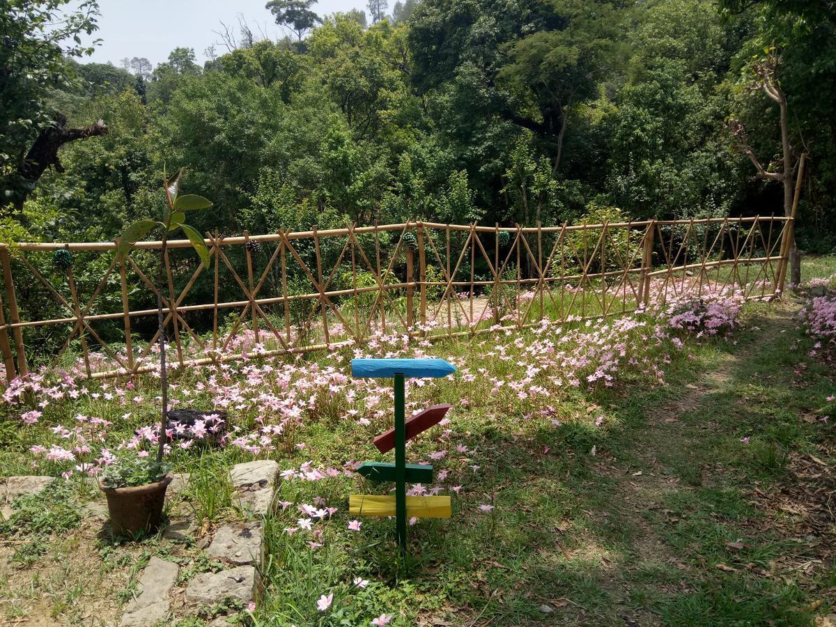 Hots Nainital Hostel Patwa Dunga Luaran gambar