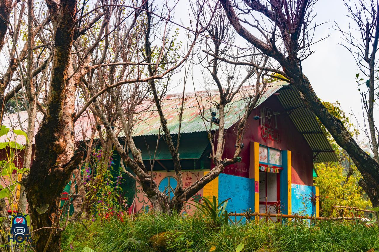 Hots Nainital Hostel Patwa Dunga Luaran gambar